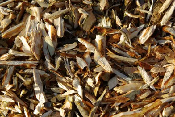 rcw for holistic slug management