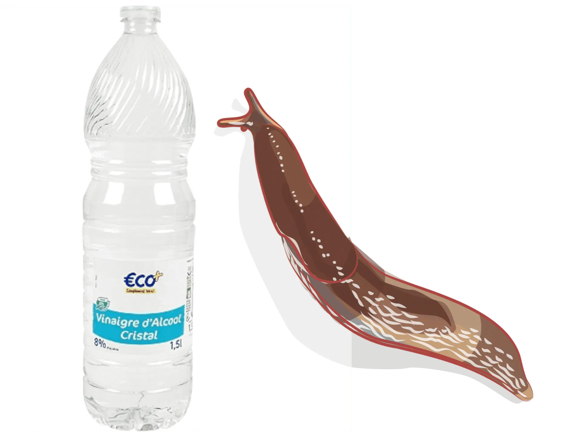 slug repellent with white vinegar