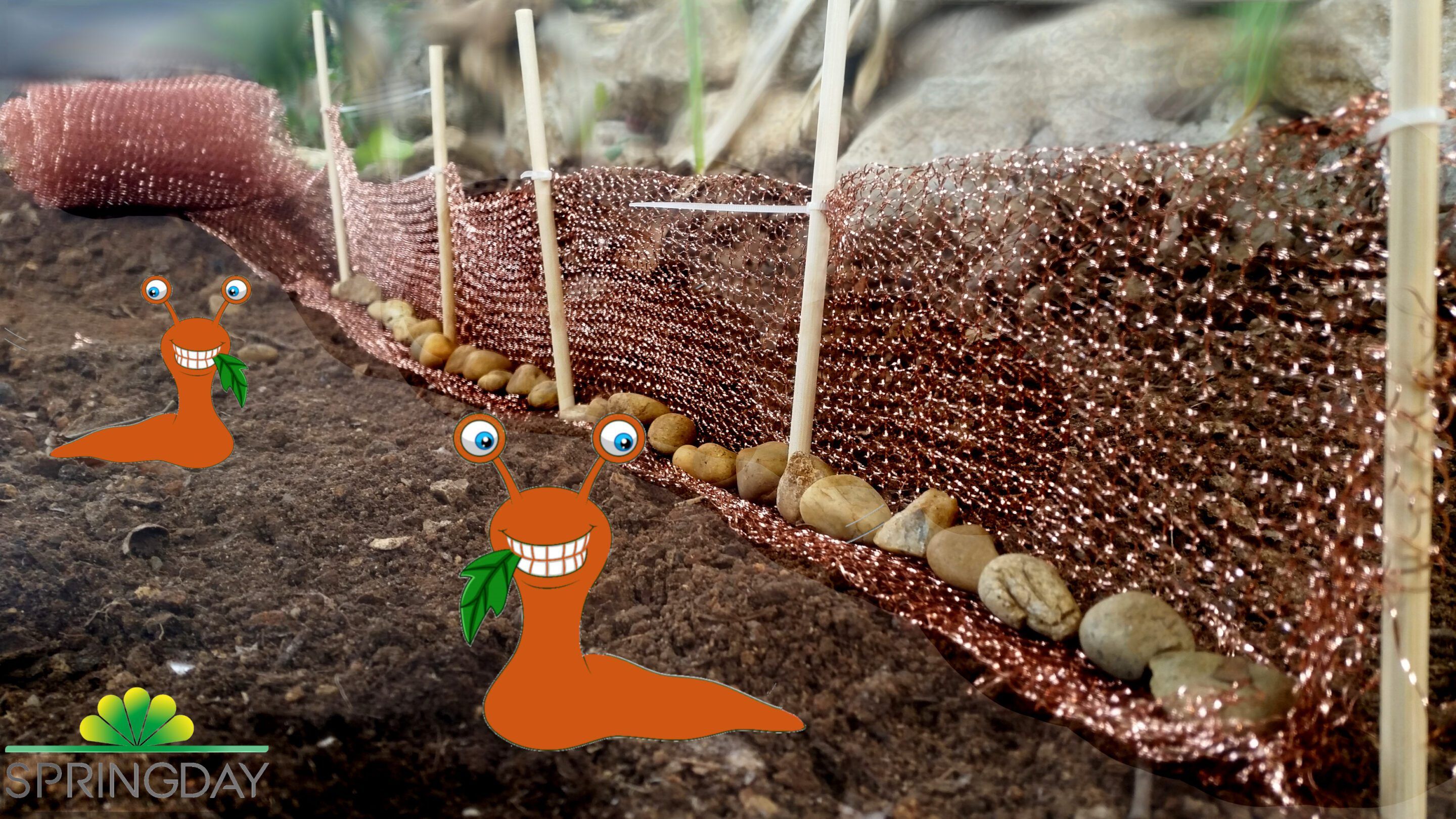 Copper mesh for slugs: why and how to use grids and netting?