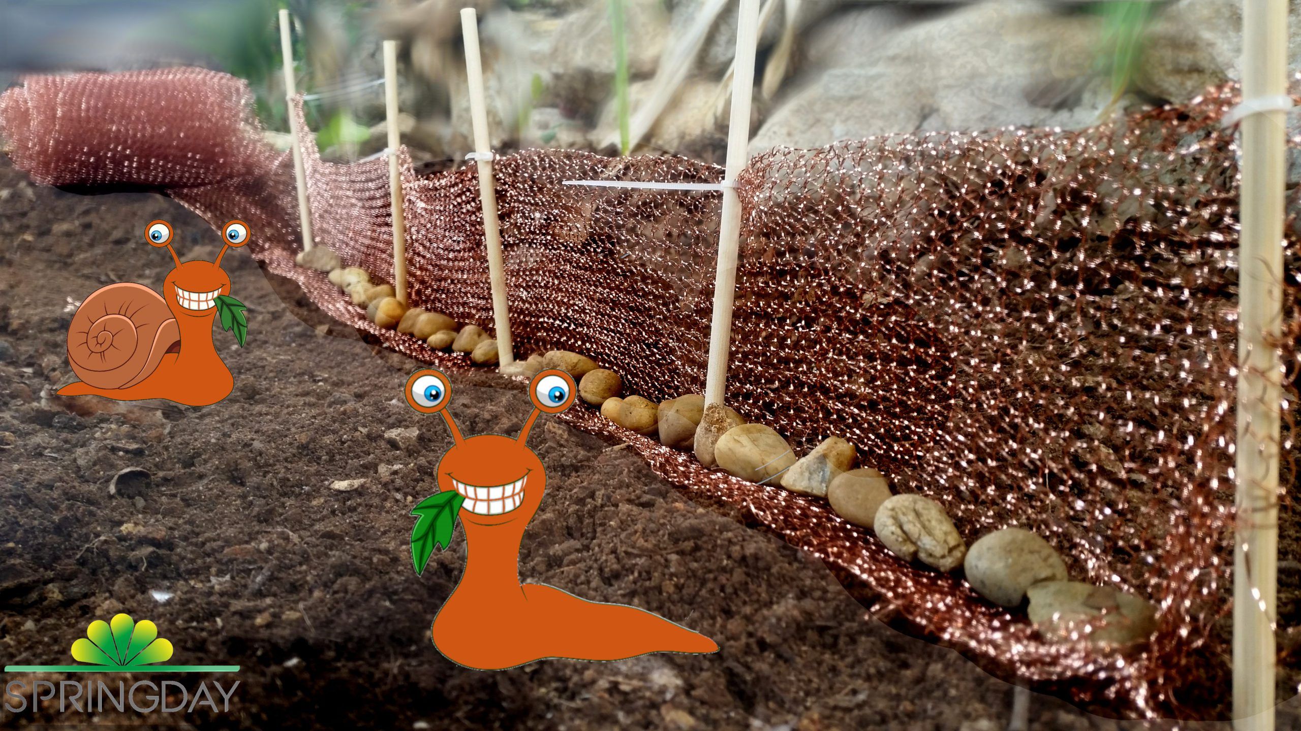 Copper mesh for slugs from Springday