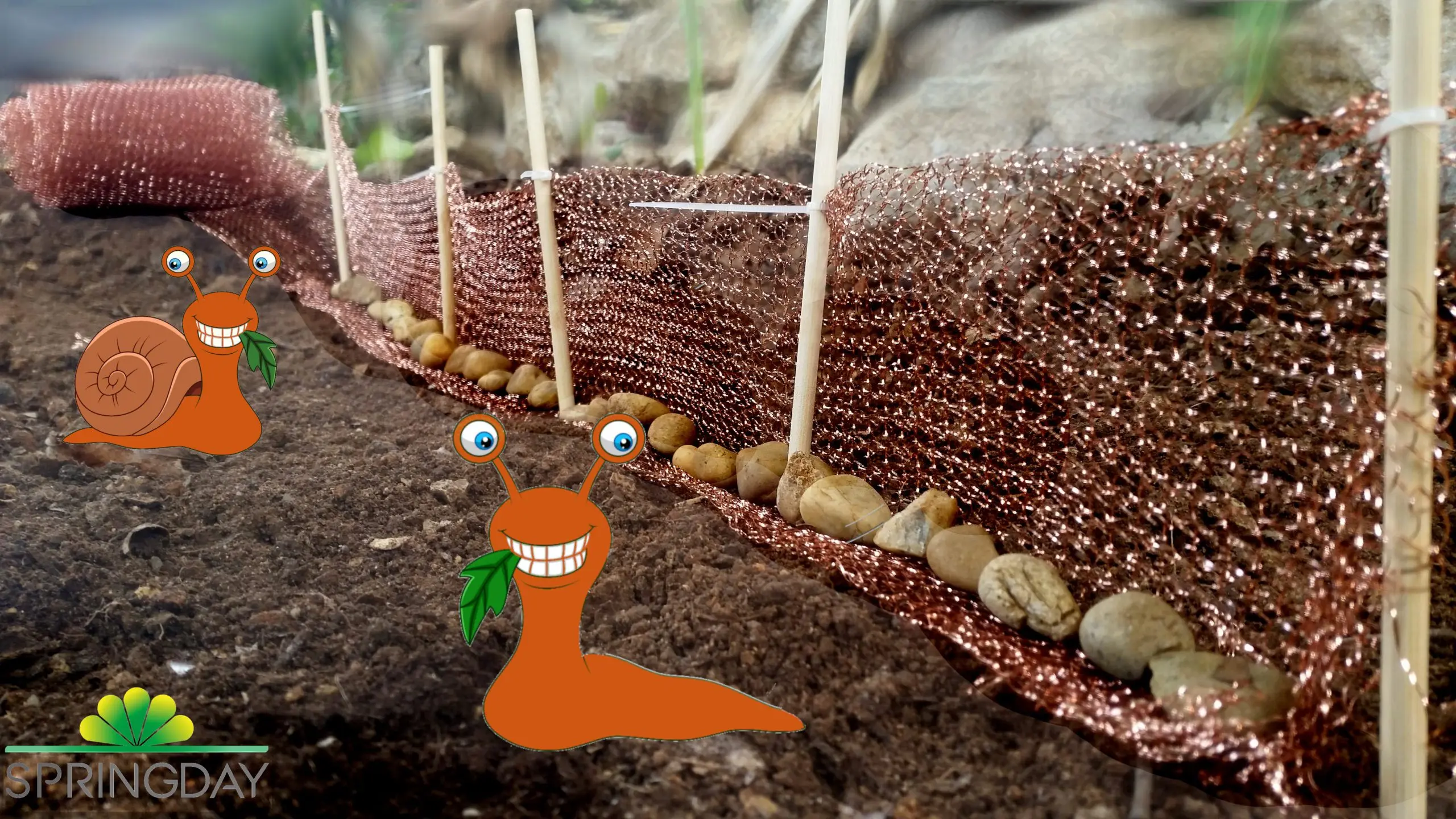Springday copper mesh for slugs