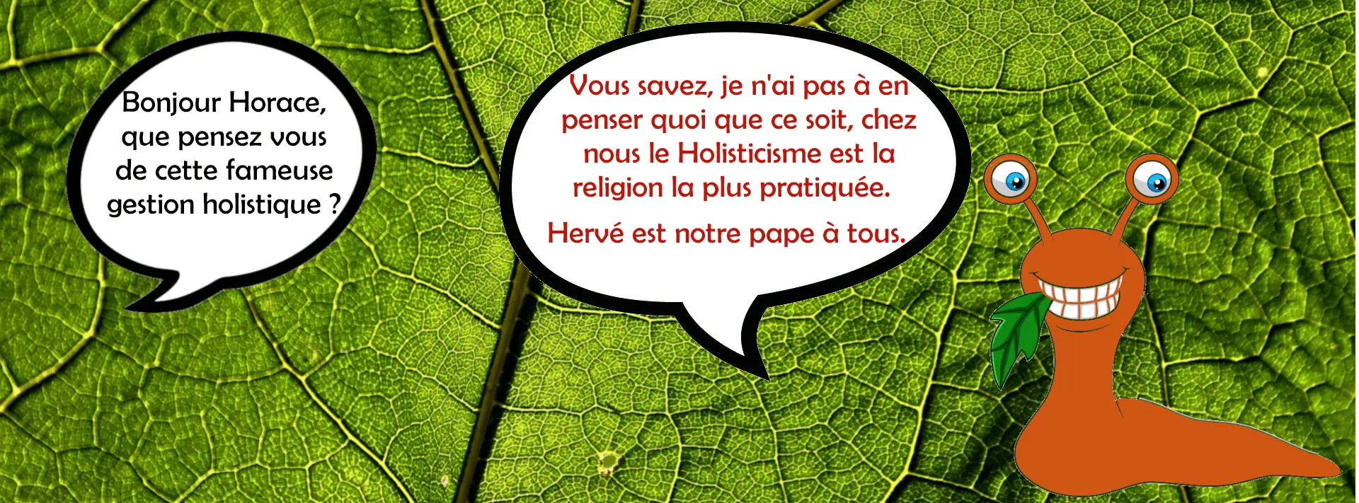 holistic slug management Hervé Coves