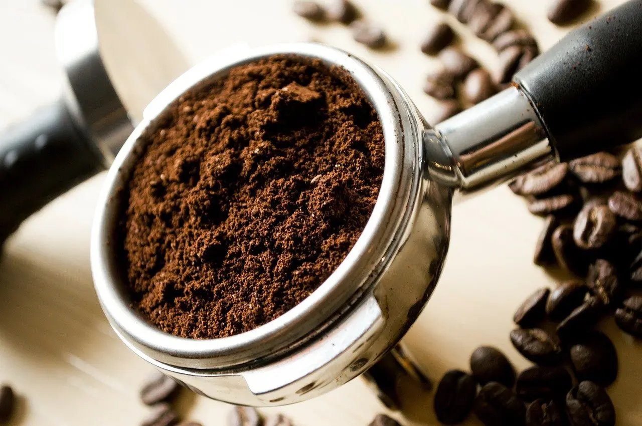 coffee grounds against slugs