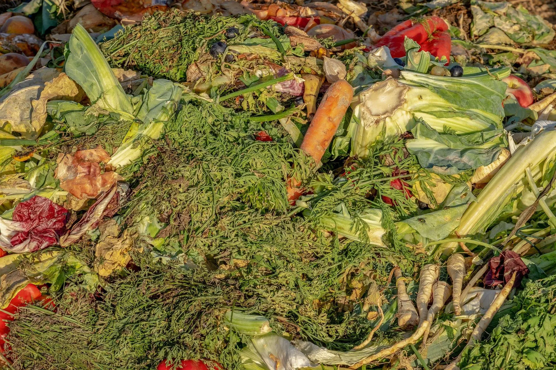 cold surface composting