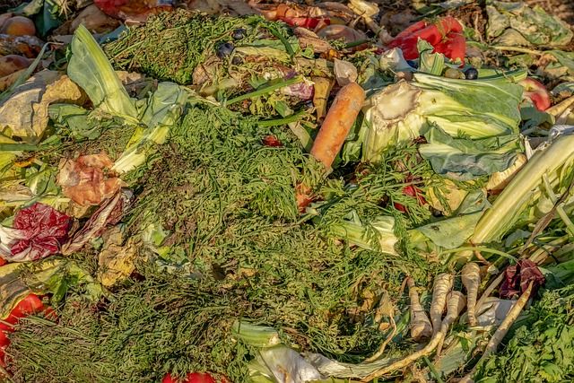 Surface composting: protect your vegetable patch from slugs, with love