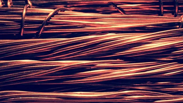 copper is a barrier against slugs