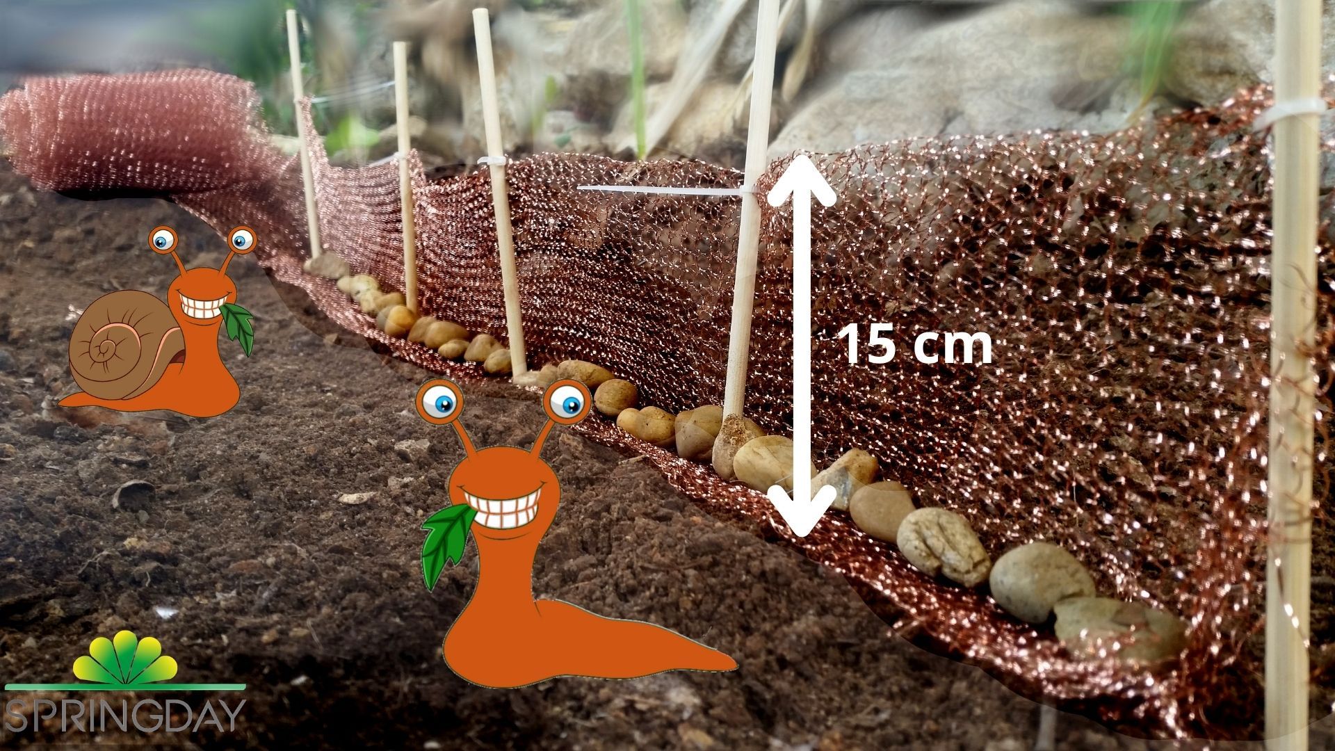 Springday copper mesh for slugs unrolled with a snail
