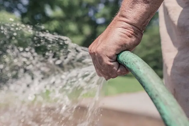 watering and slugs