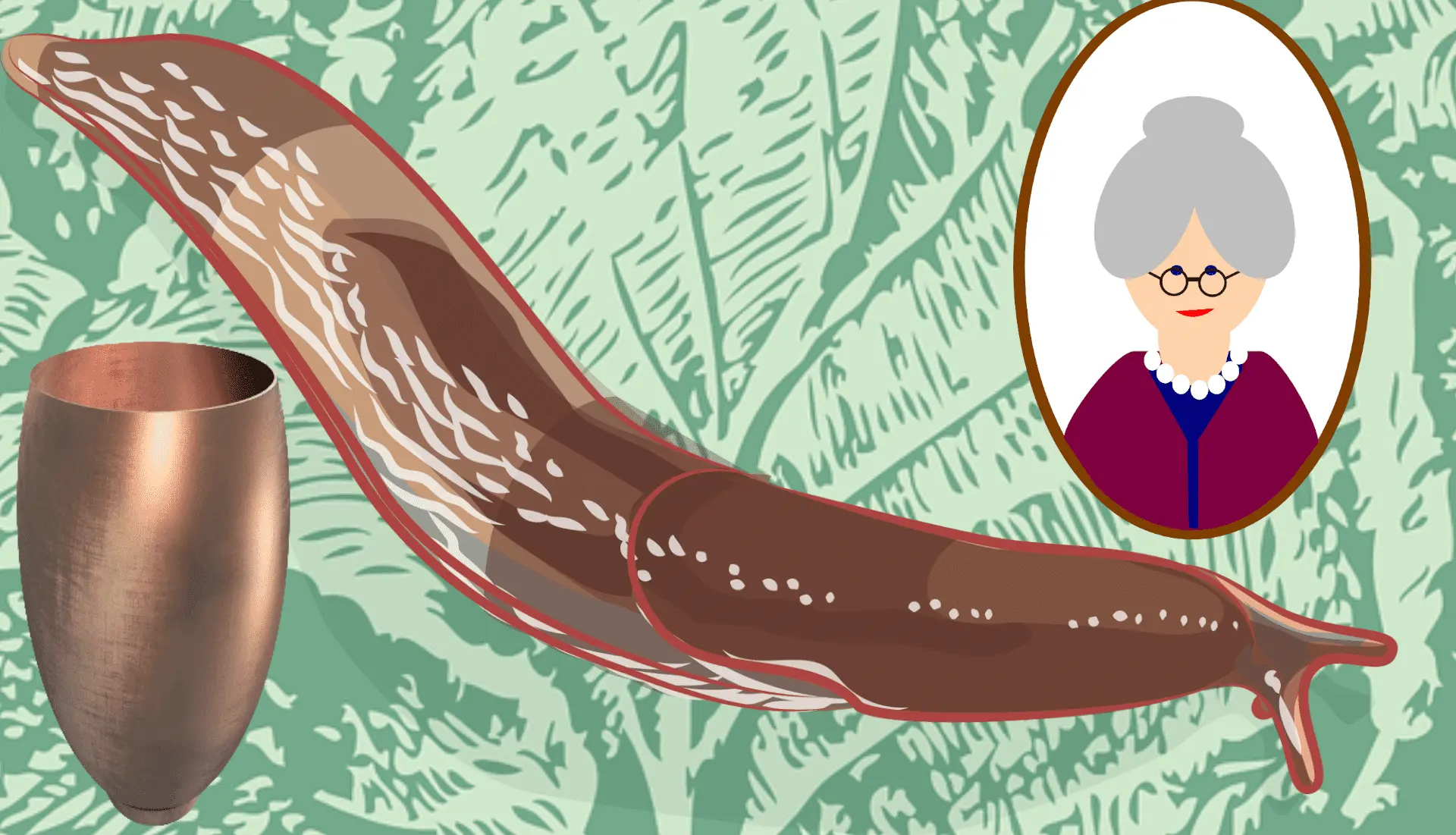 old wives' remedy against slugs