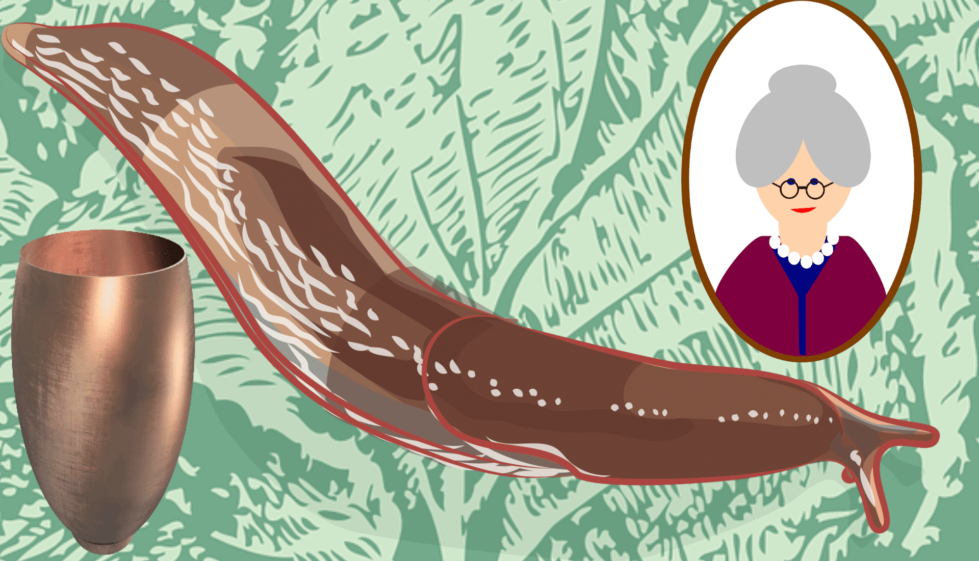 The best (clever) old wives' remedy against slugs.