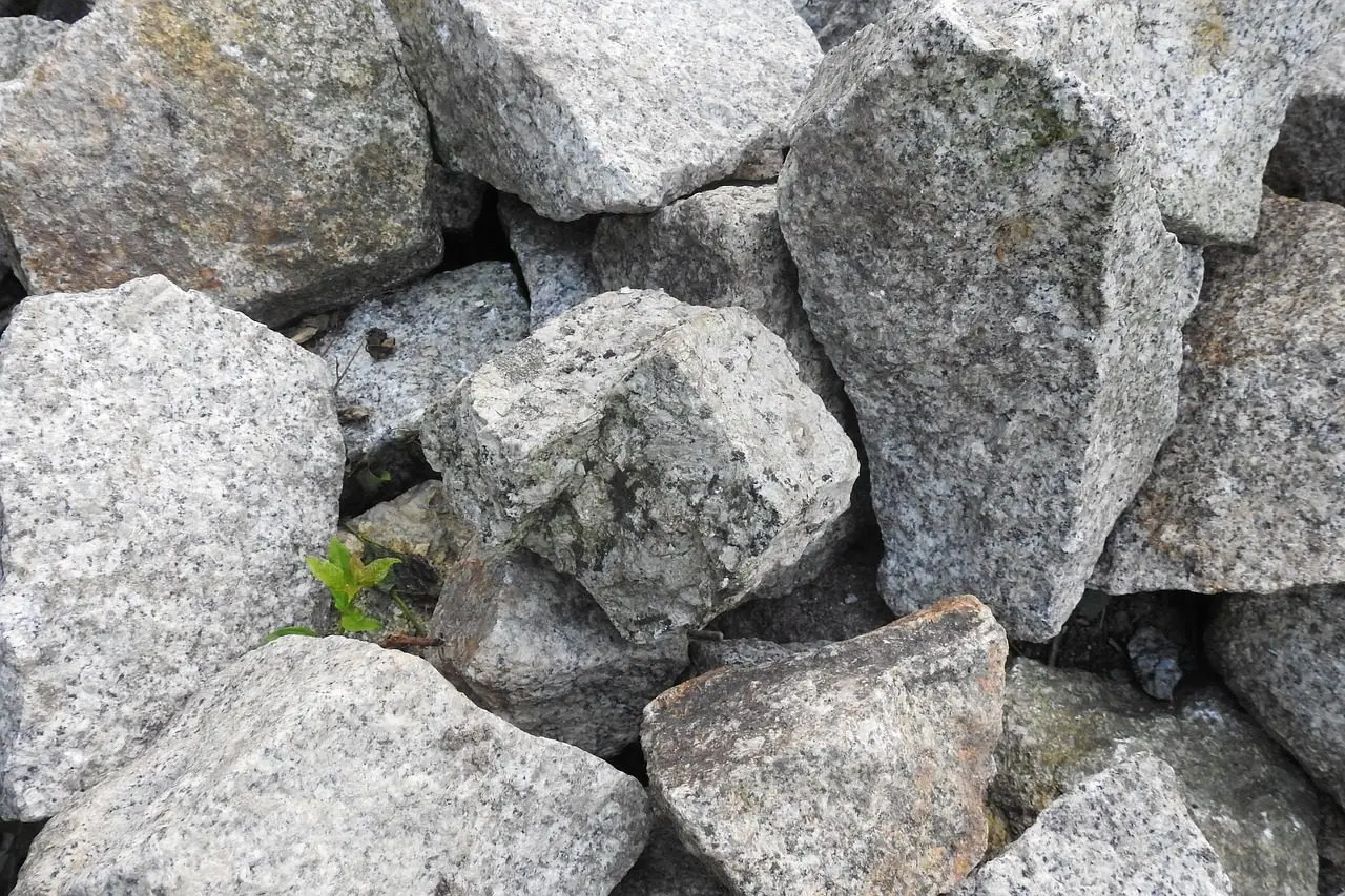 a pile of stones offers many shelters to the amphibian predators of slugs