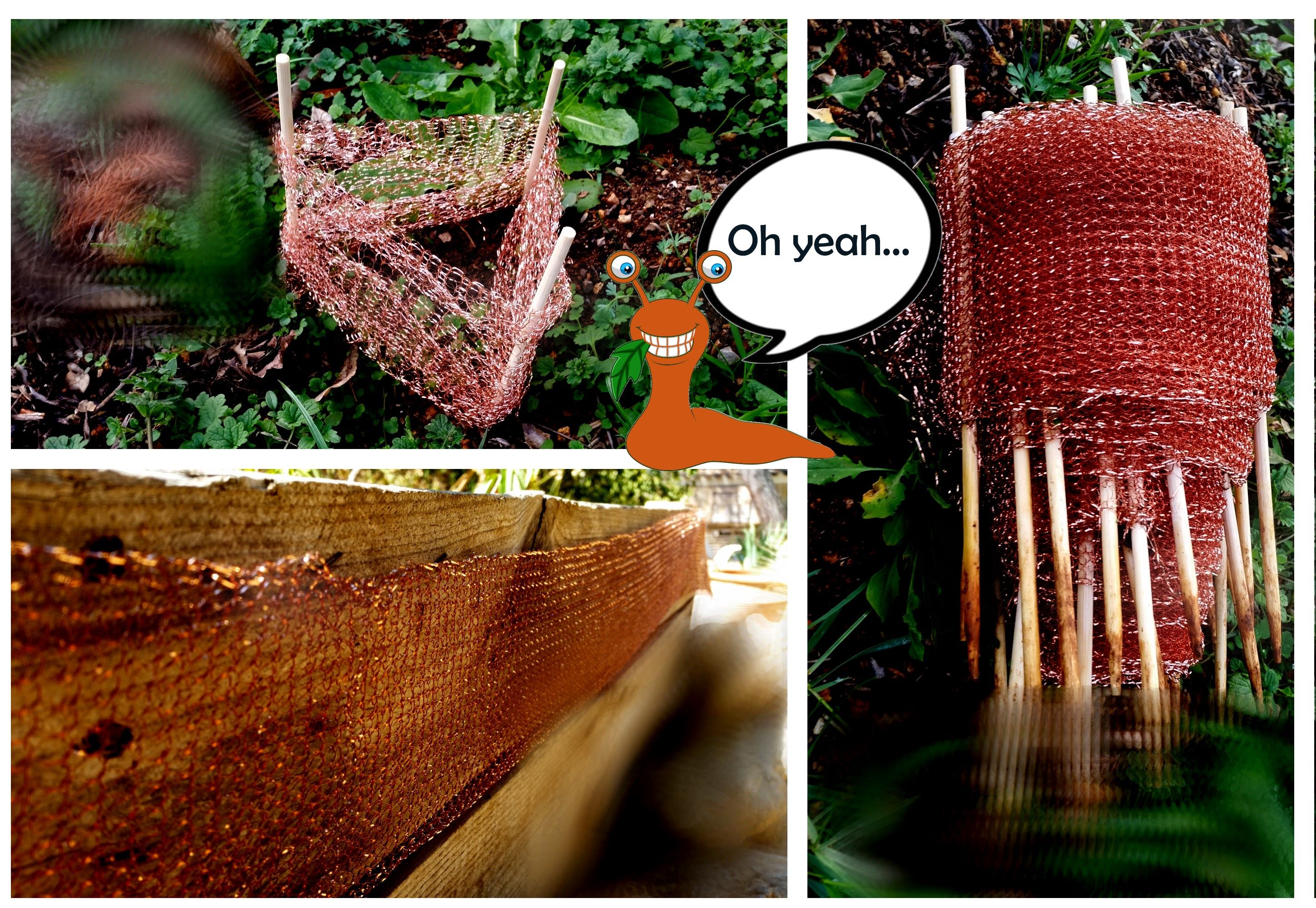 Examples of using the Springday copper slug net