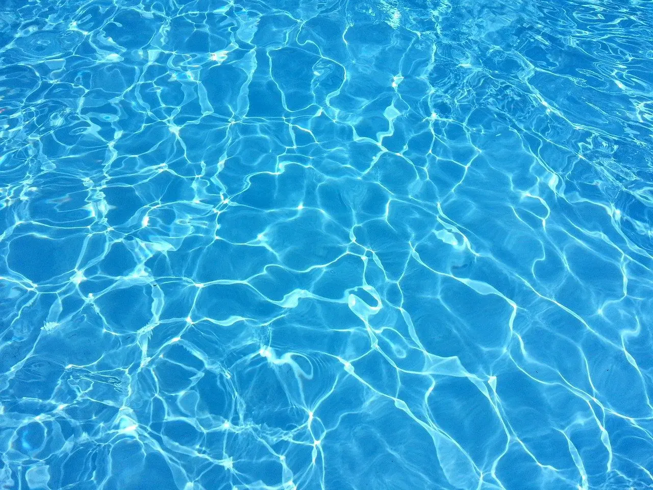 hedgehogs drown in swimming pools