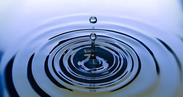 water as a slug deterrent, old wives' remedy